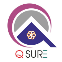 Qsure logo